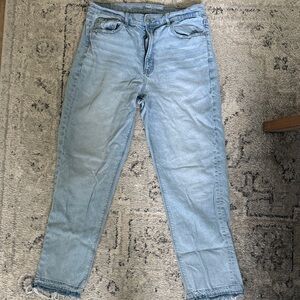 American Eagle Outfitters Light Wash Ankle Jeans